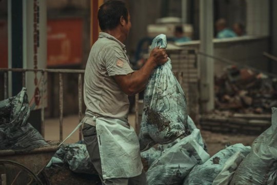 猫和老鼠游戏的多元宇宙，分类与探索